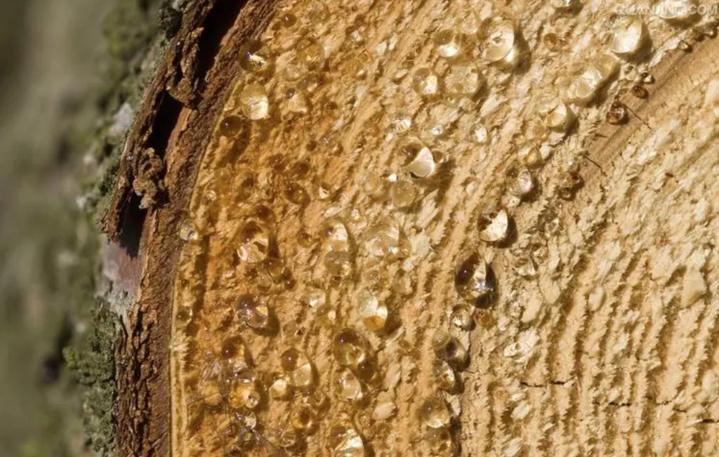 (圖:酚醛樹脂用手感劑)