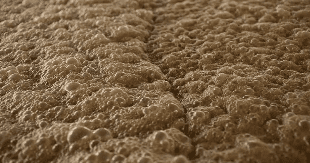 (圖:工業發酵泡沫)