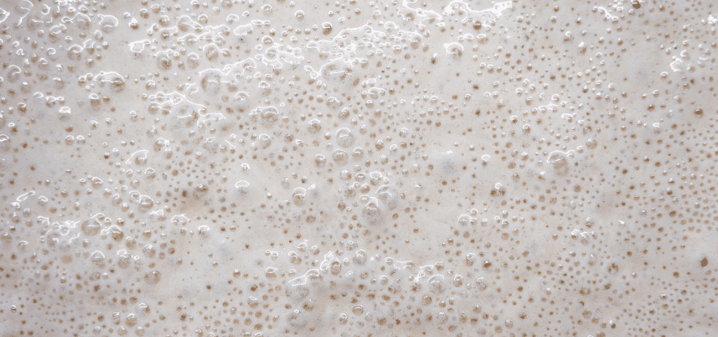 (圖:大腸桿菌發酵起泡)